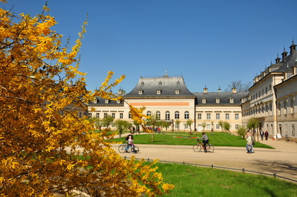 Schlosspark Dresden-Pillnitz
